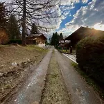 Les Carlines Des Bossons - By Care Concierge Chamonix